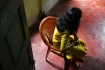 ১২ বছরের একটা মেয়েকে তিন মাসে ২২৩ বার ধর্ষণ