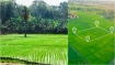 নামজারি থেকে দলিল—ঘরে বসেই পাবেন সব জমির তথ্য