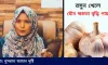 যৌ’ন ক্ষমতা বাড়াতে রসুন: ডাঃ দৃষ্টির বৈজ্ঞানিক পরামর্শ!
