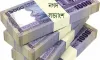 রেকর্ড ডিভিডেন্ডের চমক: দুই কোম্পানি থেকে ৩৩৭ কোটি টাকার নগদ লভ্যাংশ