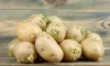 সাবধান! অঙ্কুরিত আলু: মারাত্মক স্বাস্থ্যঝুঁকি, কেন খাবেন না?