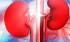 কিডনি বিকল হওয়ার আগে শরীর দেয় ৮ ইঙ্গিত, এখনই সতর্ক হোন