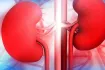 কিডনি বিকল হওয়ার আগে শরীর দেয় ৮ ইঙ্গিত, এখনই সতর্ক হোন