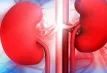 কিডনি বিকল হওয়ার আগে শরীর দেয় ৮ ইঙ্গিত, এখনই সতর্ক হোন