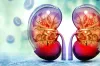কিডনি বাঁচান: ভুল খাদ্যাভ্যাস বর্জন করুন, জরুরি সতর্কতা