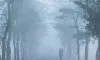 today weather: কুয়াশার দাপটে রুদ্ধশ্বাস জনজীবন-রোদের দেখা মিলবে কবে?