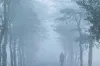 today weather: কুয়াশার দাপটে রুদ্ধশ্বাস জনজীবন-রোদের দেখা মিলবে কবে?