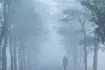 today weather: কুয়াশার দাপটে রুদ্ধশ্বাস জনজীবন-রোদের দেখা মিলবে কবে?