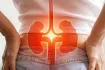 সাবধান! কিডনি বিকল হওয়ার আগে এই ৫ জায়গায় ব্যথা হয়